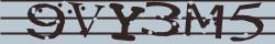 Retype the CAPTCHA code from the image