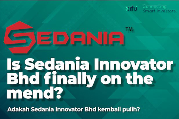 Sedania share price